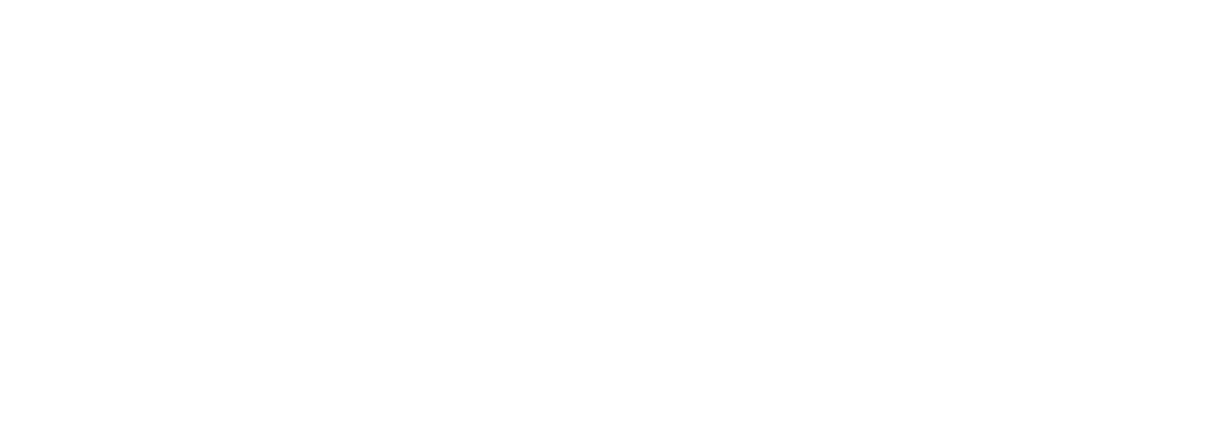 The Rider
